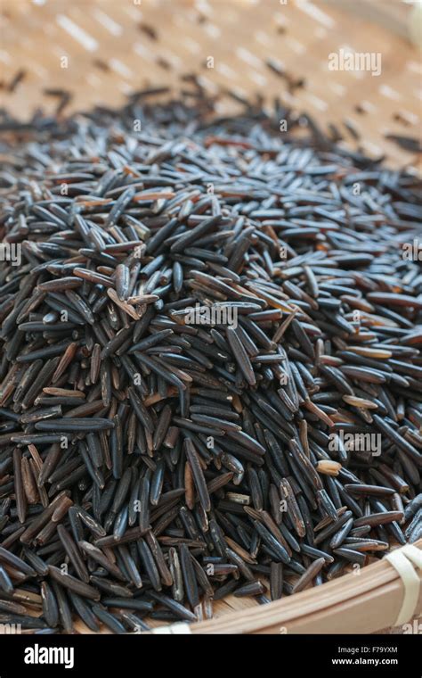 Wild Rice Growing Hi Res Stock Photography And Images Alamy