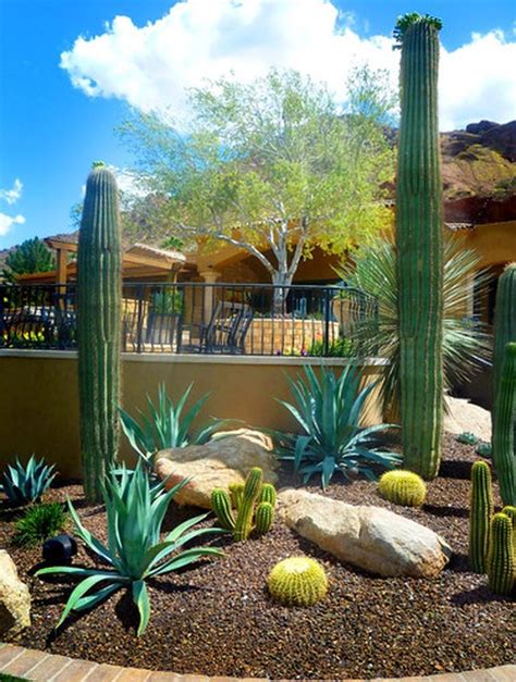 This Is Stunning Desert Garden Ideas For Home Yard 45 Image You Can