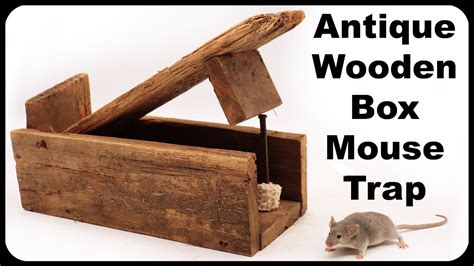 Catching 2 Mice The Same Time With An Antique Wooden Box Mouse Trap