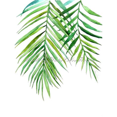 Palm Leaves Original Watercolor Painting Green Leaves Artwork Palm