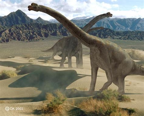 Saurischian Dinosaurs