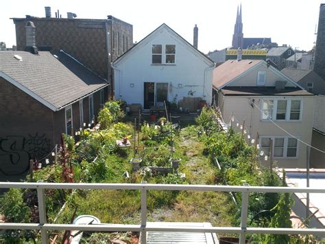 Edible Rooftop Garden