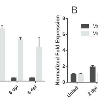 Time Dependent Cu Zn Sod And Mn Sod Transcriptional Expression Levels