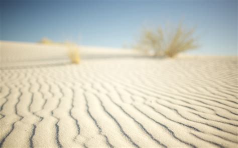 Wallpaper Sunlight Landscape Sky Desert Horizon Lines Dune