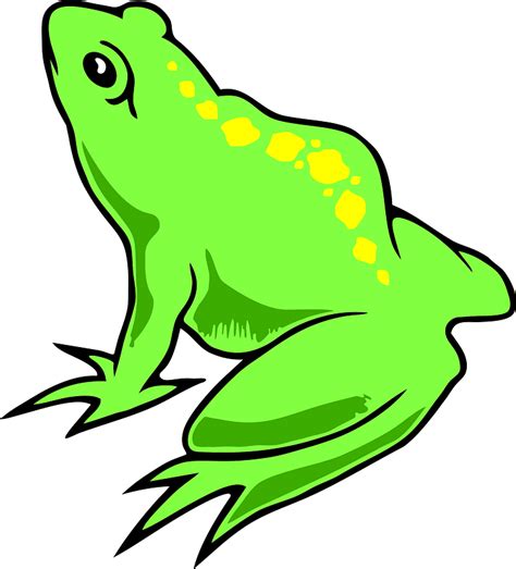 Green Frog Clipart Free Download Transparent Png Creazilla