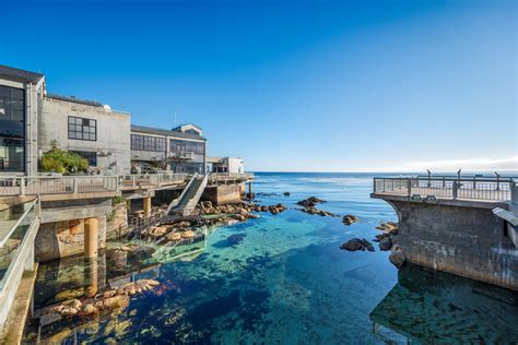 Visit Monterey Bay Aquarium