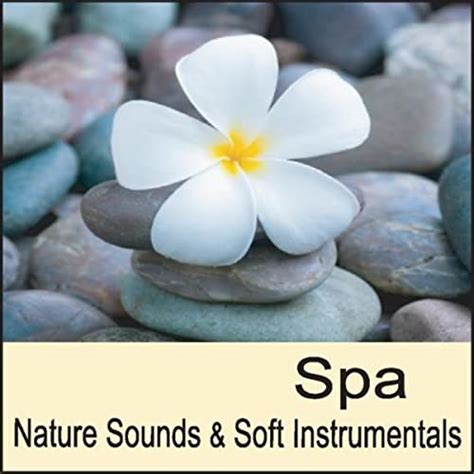 Spa Nature Sounds And Soft Instrumental Music For Massage Massage Music