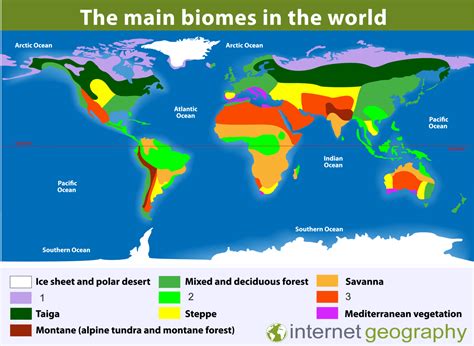 Where Are Temperate Deciduous Woodlands Located Internet Geography