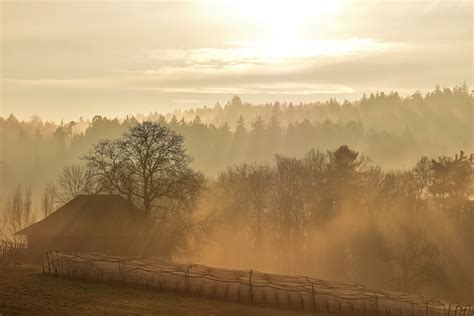 Free Images Landscape Tree Nature Forest Horizon Cloud Sky Sun