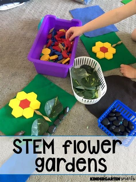 Life Cycle Of A Flower Activities And Seesaw Freebies Kindergarten
