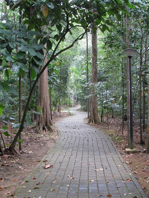 Bukit batok nature park is nature reserve (parks,area), an area reserved for the maintenance of a natural habitat. Bukit Batok Singapore - Nature Park, Pool, MRT & Accommodation