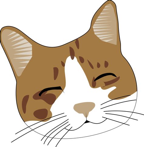 Kitten Face Clip Art Clipart Best