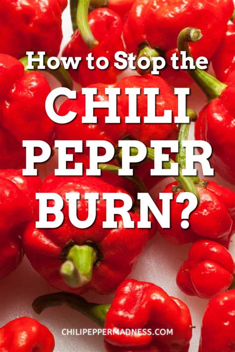 How Do You Stop The Chili Pepper Burn Chili Pepper Madness
