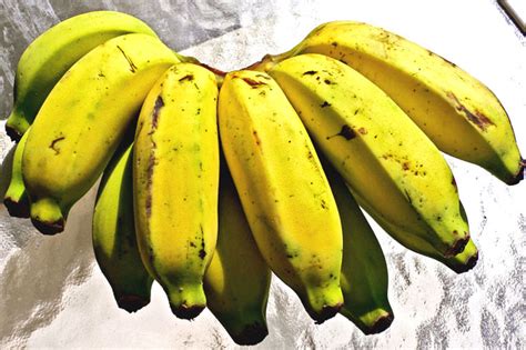 Bananas And More A Noteworthy Banana Apple Banana