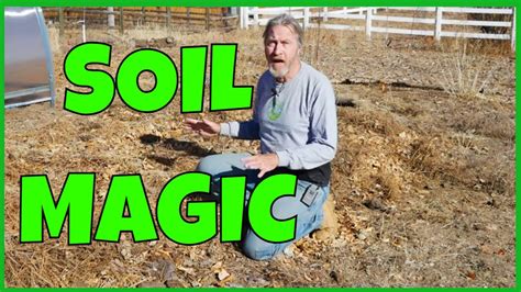 How To Transform Bad Soil Into Good Soil Youtube
