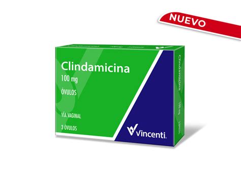 Clindamicina Laboratorios Vincenti Tratamiento De Vaginosis Bacteriana