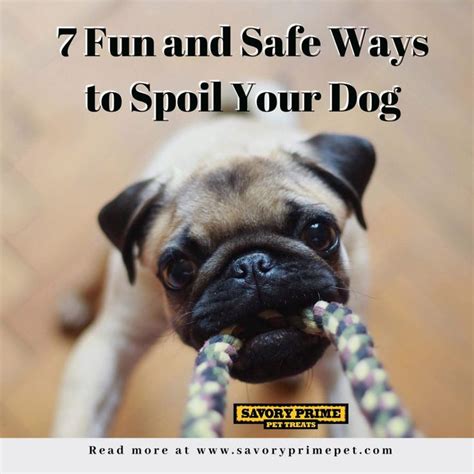 7 Fun And Safe Ways To Spoil Your Dog Savory Prime Pet Treats