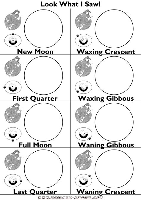 11 Best Images Of Moon Phase Blank Worksheet Moon Phases Blank