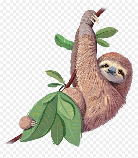 We did not find results for: Toed Sloth Png Free Image Download - Pygmy 3 Toed Sloth Drawing, Transparent Png - 900x980 PNG ...