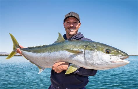 Trophy Size Yellowtail Kingfish Caught Six Times Fishing World Australia
