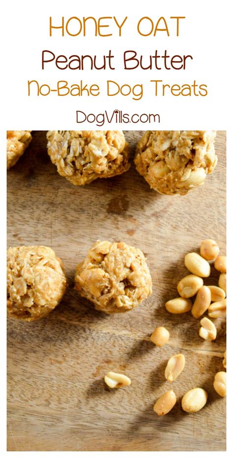 Hypoallergenic Dog Treat Honey Oat Peanut Butter Balls