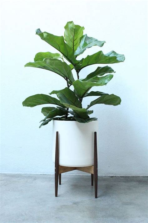 Where can you find the best range of planters and stands to decorate your home and garden? Modern Plant Stand - Pedestal Stand - RustyGold | 植物栽培, 植物 ...