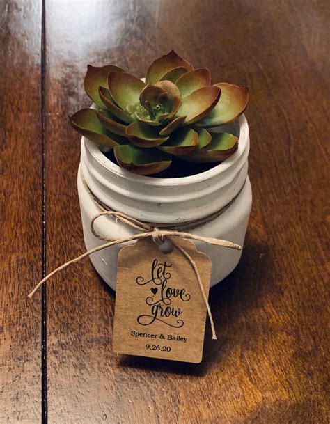 Succulent Favor Etsy In 2021 Succulent Favors Plant Wedding Favors