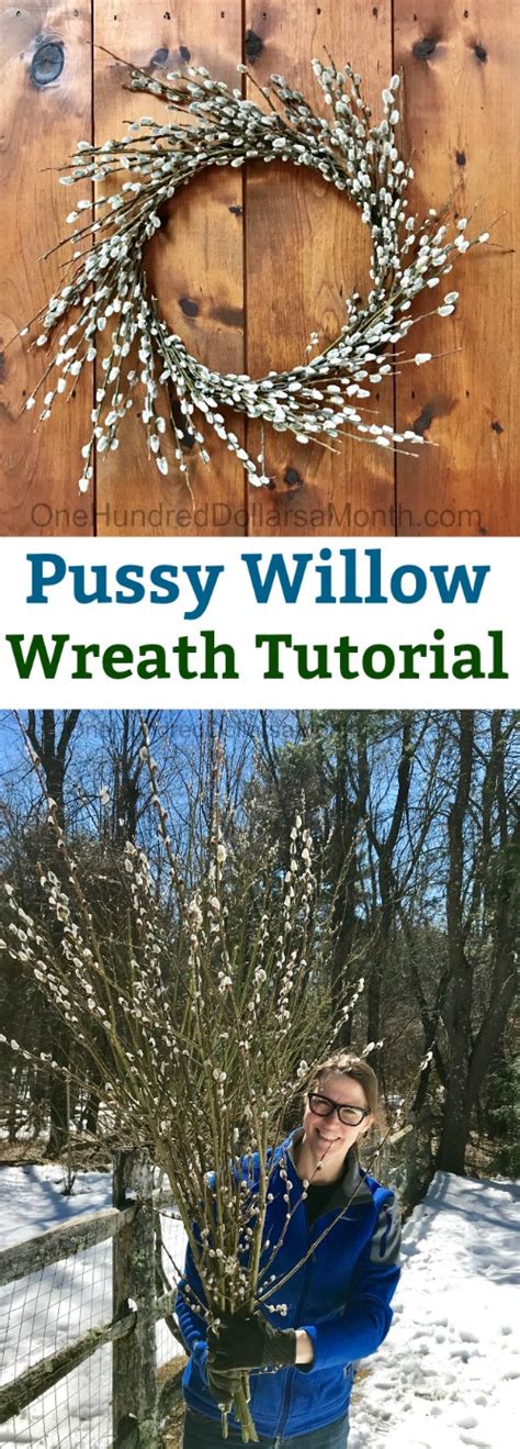 How To Make A Pussy Willow Wreath Easy Picture Tutorial One Hundred Dollars A Month