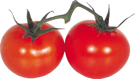 Red Tomatoes Png Image Purepng Free Transparent Cc0 Png Image Library