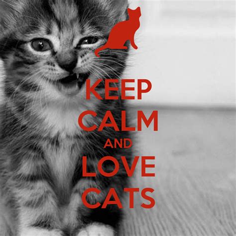 Keep Calm And Love Cats Poster Amibunz Keep Calm O Matic