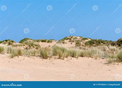 Sand Dunes On A Bright Sunny Day Stock Photo Image Of Scenic View