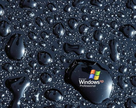 49 Microsoft Wallpapers Backgrounds Themes