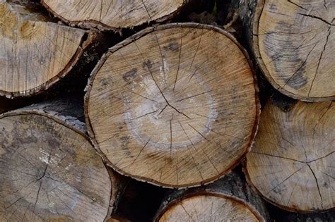 Drewno opałowe średniej twardości z brzozy oraz olchy