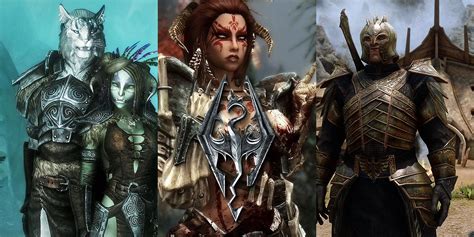 Skyrim The 10 Best Armor Mods To Date