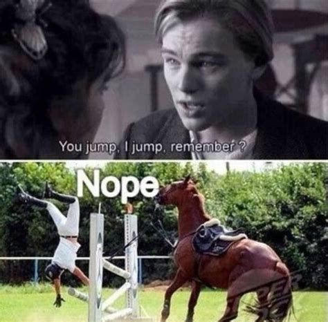 Jumping Funny Horse Pictures Horse Riding Quotes Horse Quotes Funny