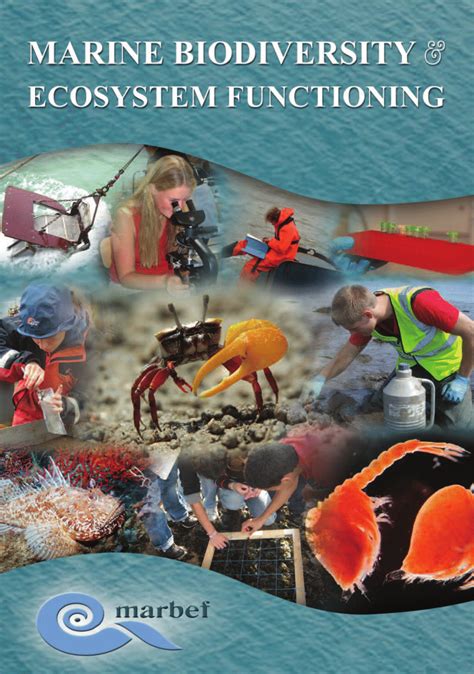 Pdf Marine Biodiversity And Ecosystem Functioning