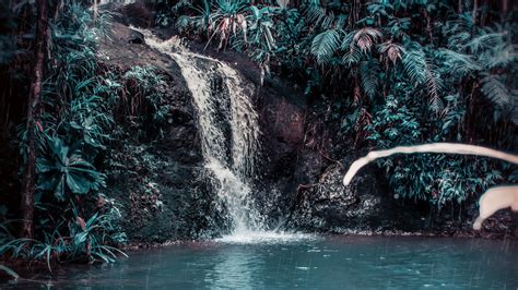 Wallpaper Id 12436 Waterfall Stream Forest Jungle Tropical