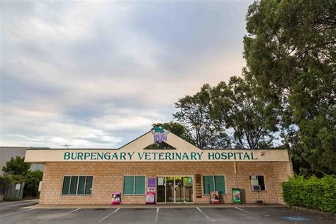 Here with our mobile pet care clinic boerne our goal is to practice the highest quality medicine and surgery with compassion and an emphasis on client education. Burpengary Veterinary Hospital, Burpengary, 4505 - Vet Near Me