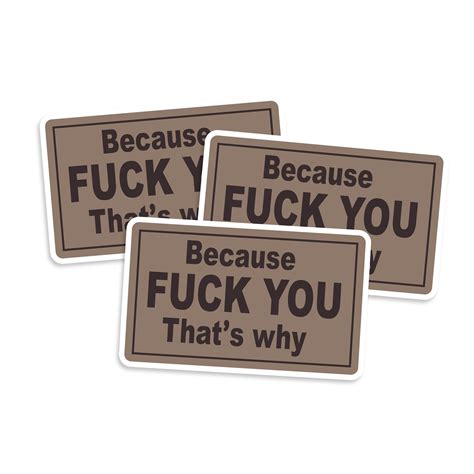 because fuck you that s why vinyl sticker multi packs etsy