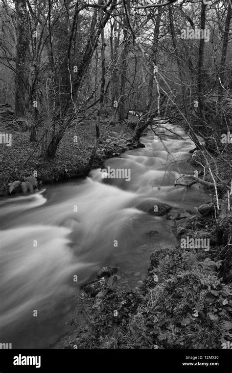 Long Exposure Of The River Flowing Through Horner Woods In Somerset