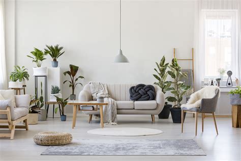 4 Easy Living Room Feng Shui Tips For The Ultimate Good