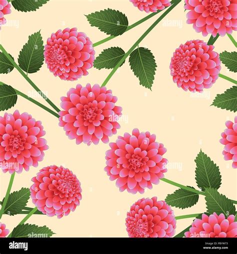 Pink Dahlia On Beige Ivory Background Mexicos National Flower Vector