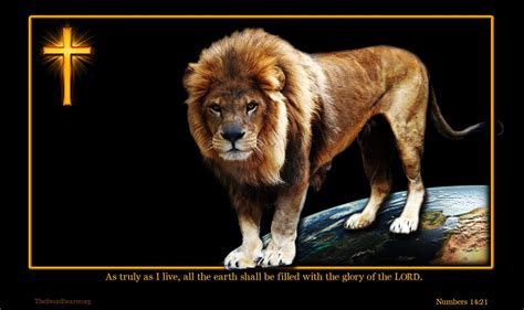 Lion Of Judah Hd Wallpapers Wallpaper Cave