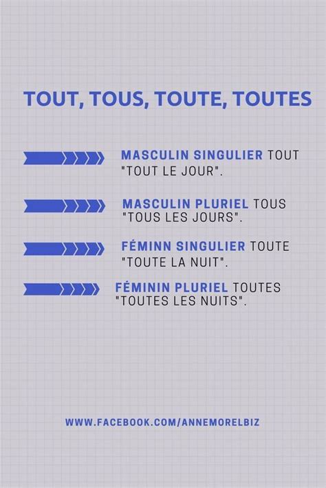 Educational Infographic French Grammar Tout Tous Toute Toutes
