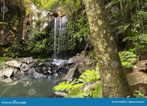 Curtis Falls Waterfall In Mount Tambourine Stock Photo Image Of Gold