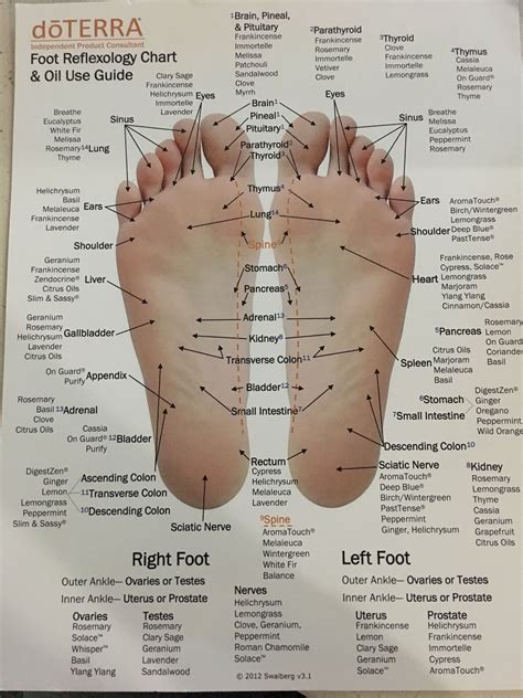 Pin By Dawn Farmer On Essential Oils Reflexology Foot Chart