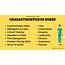 50 Characteristics Of A Successful Nursing Profession  Career Cliff