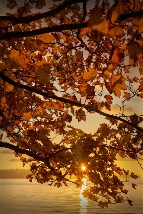 Autumn Run Stanley Park Seawall Vancouver Stock Image Image Of