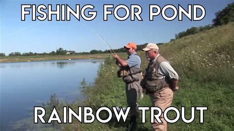 Fishing For Pond Rainbow Trout Youtube