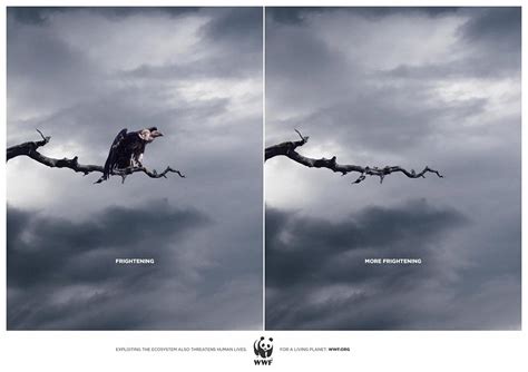 Wwf Bird Shark • Ads Of The World™ Part Of The Clio Network